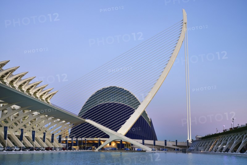 Spain, Valencia Province, Valencia, La Ciudad de las Artes y las Ciencias  City of Arts and Sciences  Principe Felipe Science Museum  El Pont de lAssut de lOr Bridge and Agora.