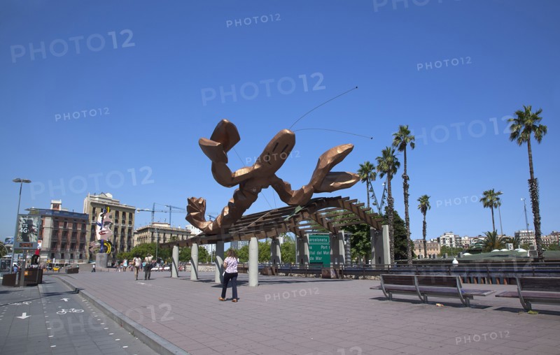 Spain, Catalonia, Barcelona, El Barri Gotic  La Gamba Sculpture next to Port Vell.