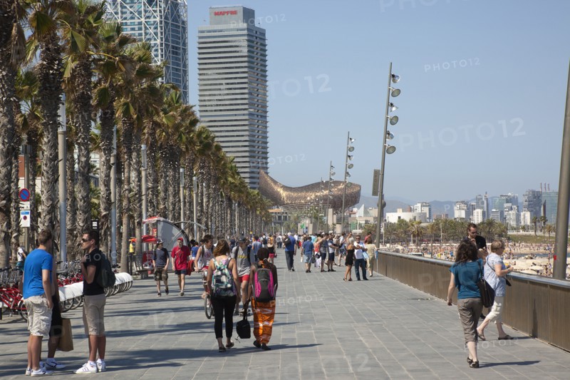 Spain, Catalonia, Barcelona.