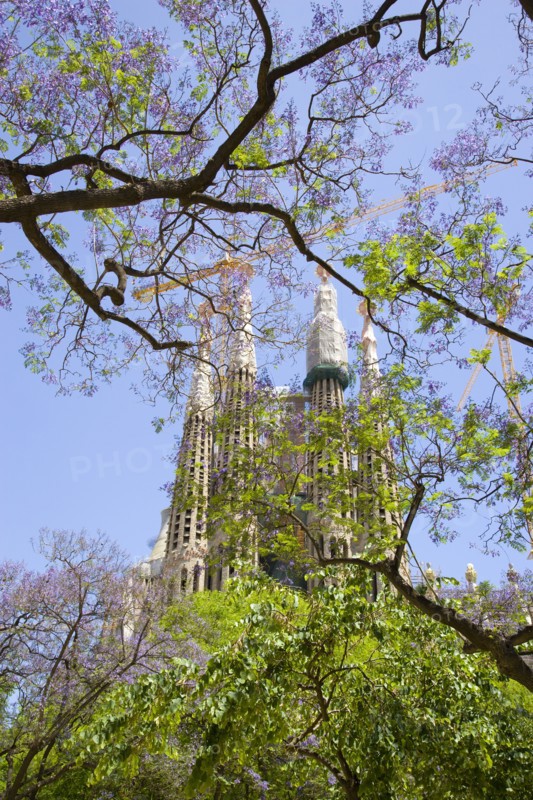 Spain, Catalonia, Barcelona, Sagrada Familia.