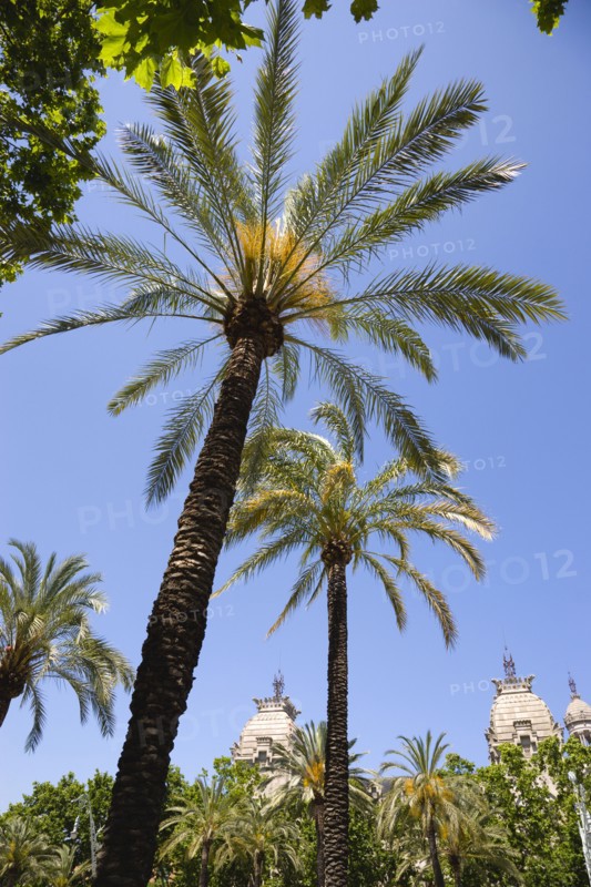 Spain, Catalonia, Barcelona, Parc de la Ciutadelala.