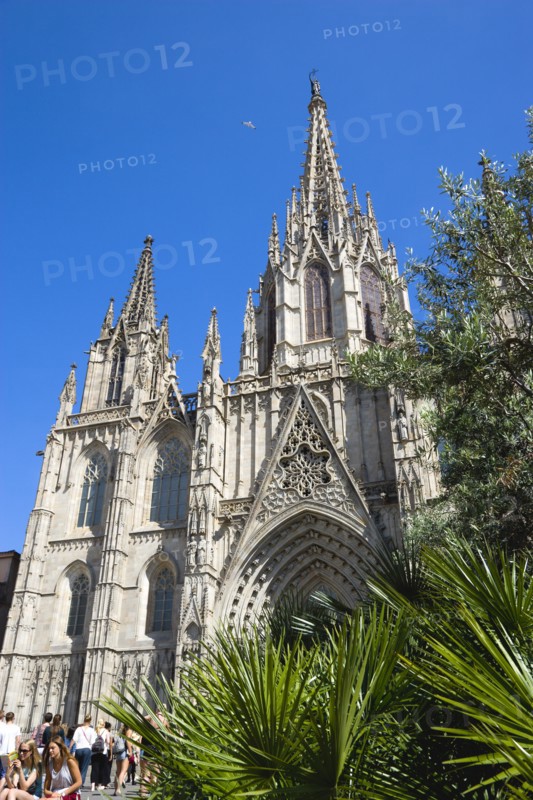 Spain, Catalonia, Barcelona, Cathedral.