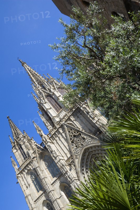 Spain, Catalonia, Barcelona, Cathedral.