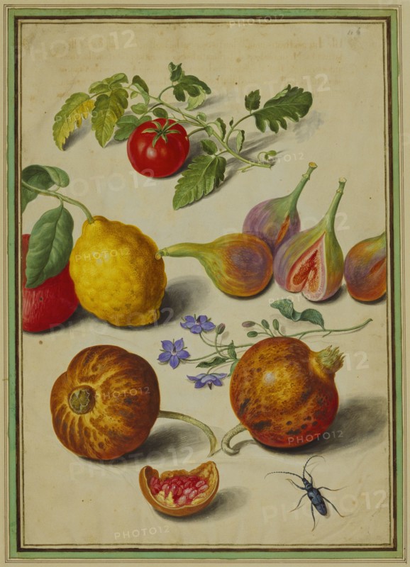 Walther, Tomate & Citron, Mouches & Grenades, avec Bourrache & Scarabée