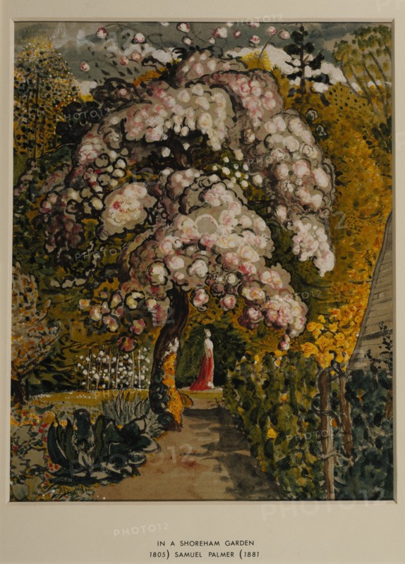 Palmer, Dans un jardin de Shoreham