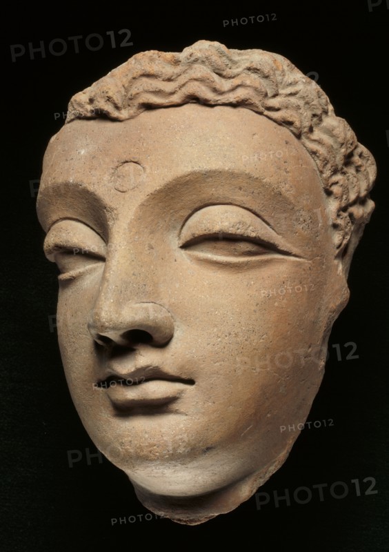 Tête de Bouddha provenant du Gandhara