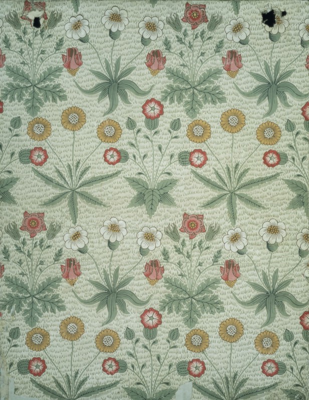 Morris, Marguerites sur papier imprimé
