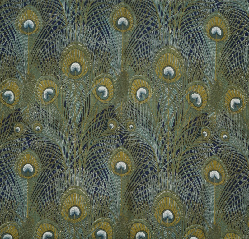 Silver, Plumes de paon