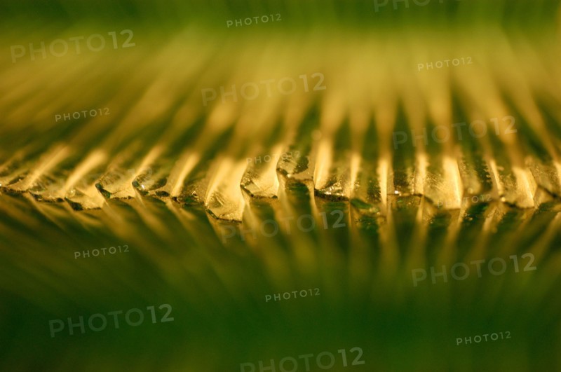 Détail d'une sculpture de verre