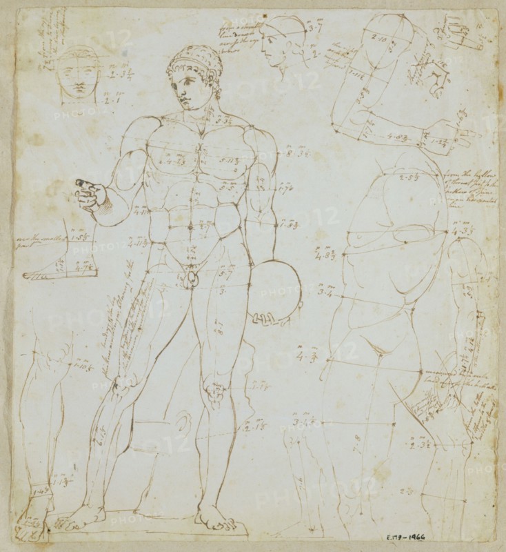 Deare, Croquis d'anatomie