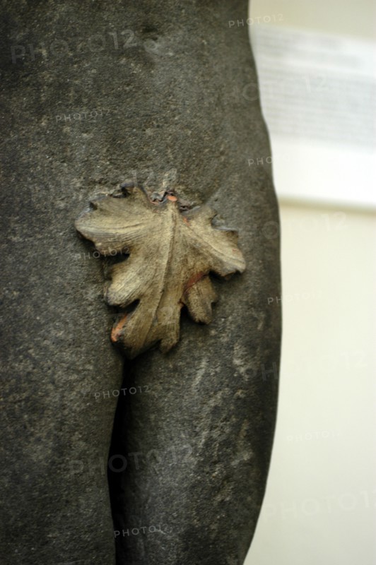 Détail d'une feuille de figuier sur un manteau de cheminée