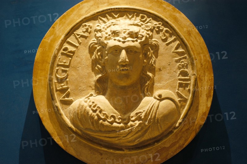 Sculpture en médaillon d'un plafond