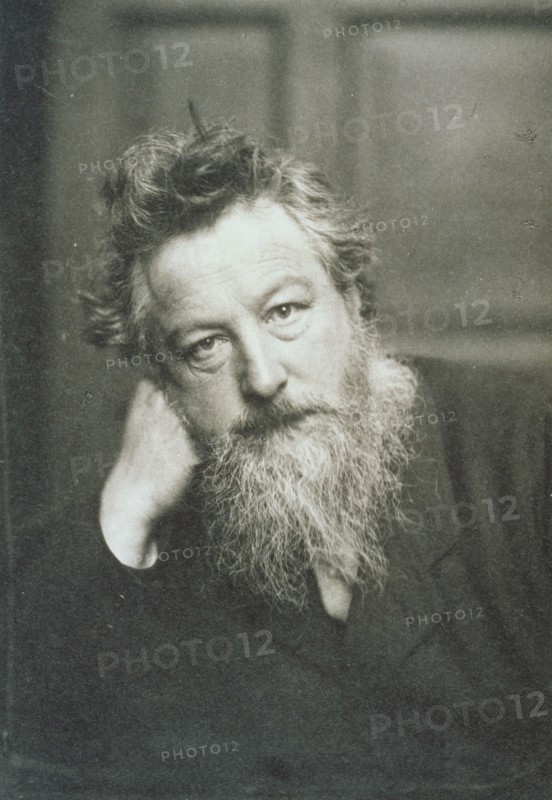Hollyer, Portrait de William Morris