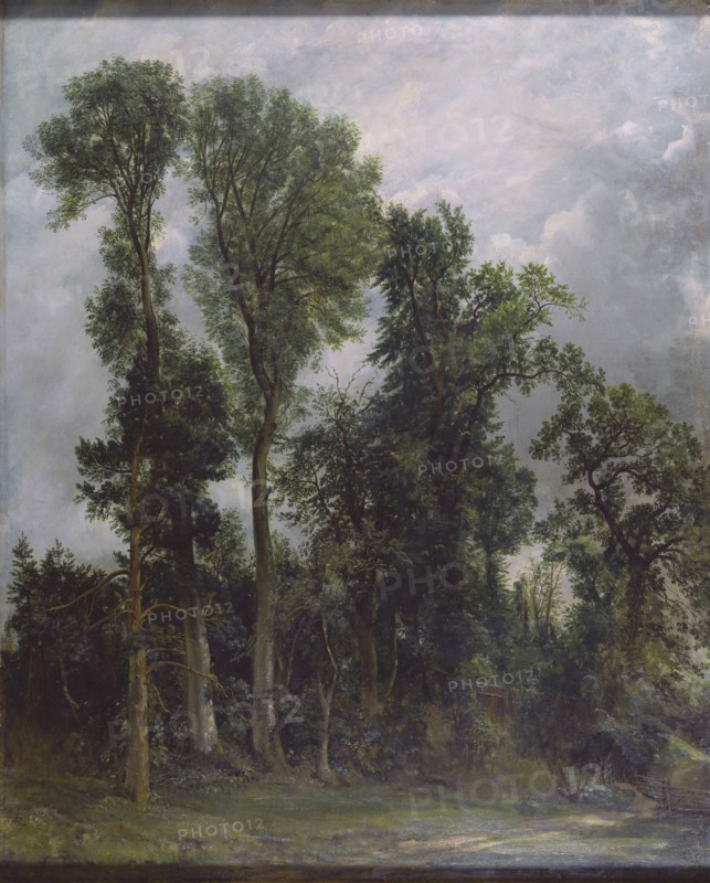 Constable, Arbres à Hampstead : le chemin de l'église