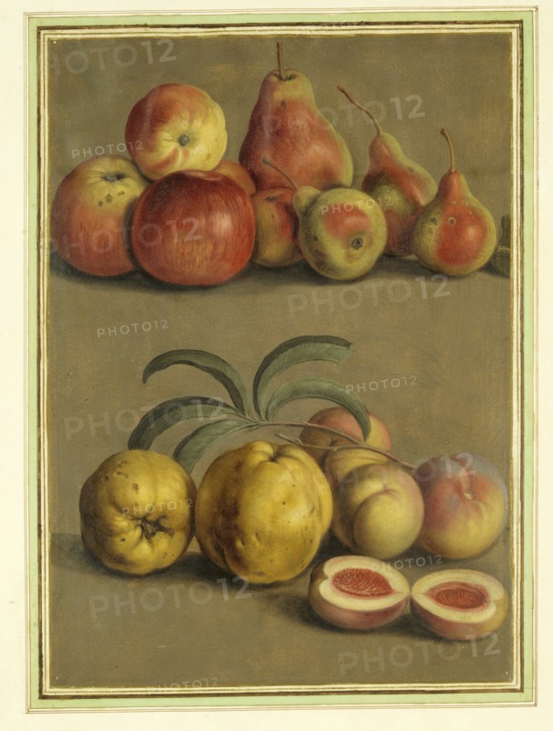 Walther, Pommes, poires, prunes et pêches