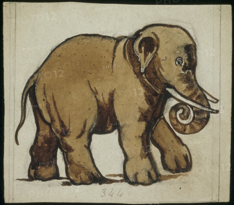 De Morgan, Eléphant