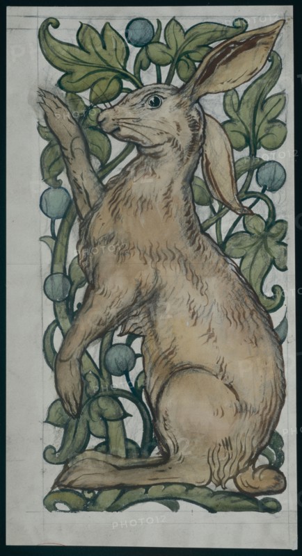 De Morgan, Lièvre assis sur fond de feuilles et de fruits
