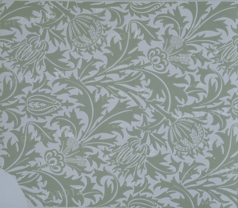 Morris, Papier peint à motif de chardon