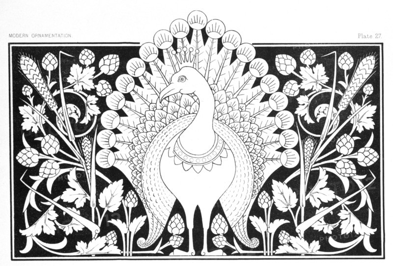 Dresser, Paon