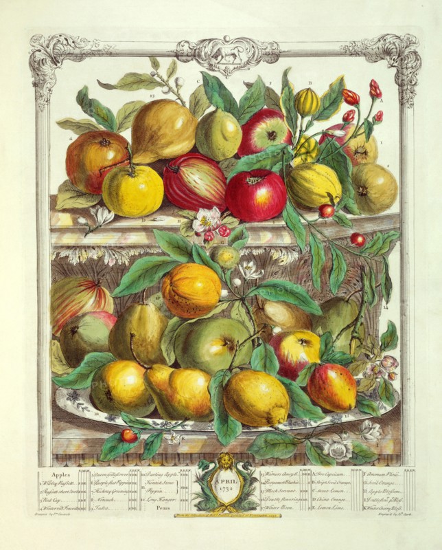 Furber, Les douze mois des Fruits : Avril