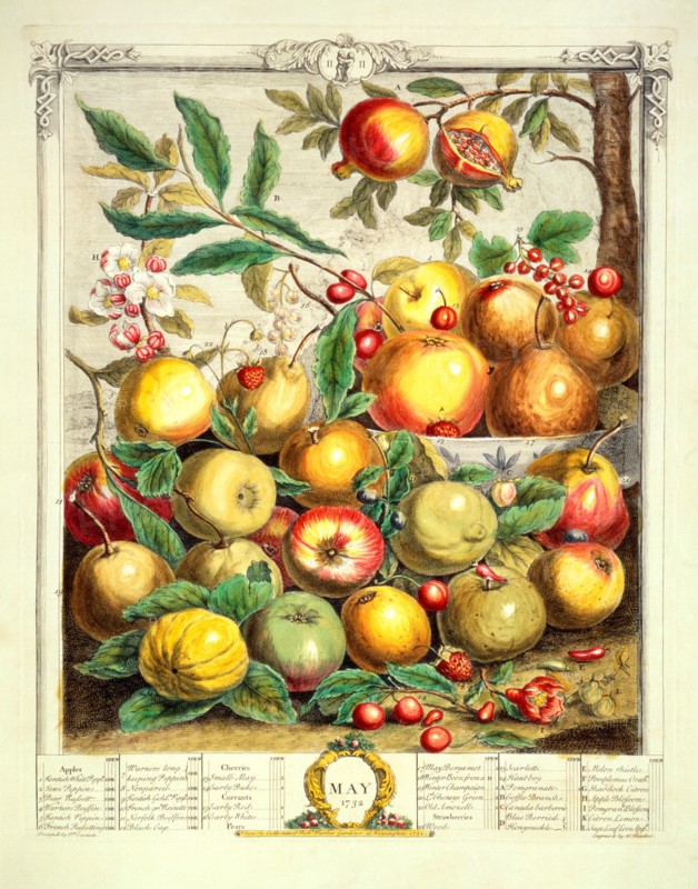 Furber, Les douze mois des Fruits : Mai