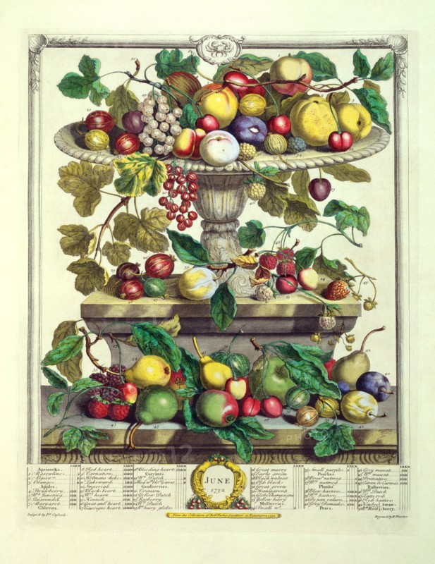 Furber, Les douze mois des Fruits : Juin