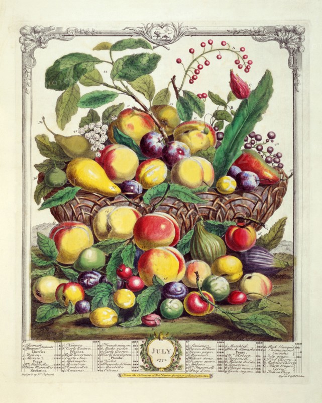 Furber, Les douze mois des Fruits : Juillet