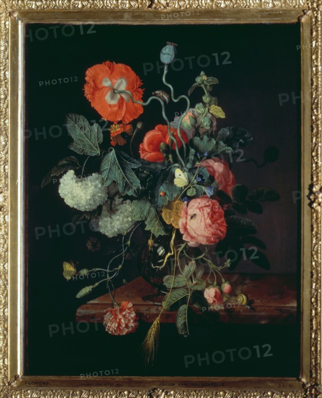 Van Walscapelle, Fleurs dans un vase en verre