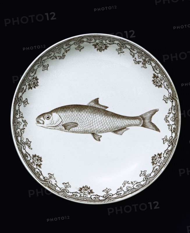 Plat à poisson, Angleterre