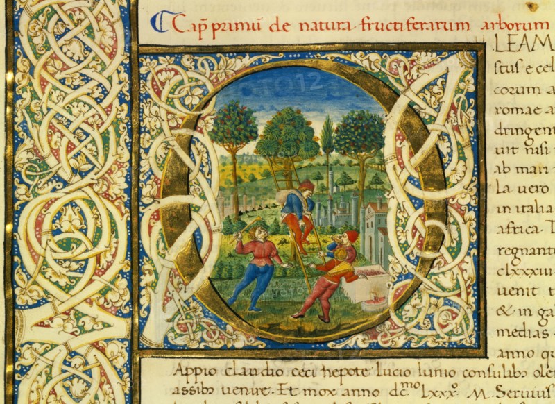 Initiale O
