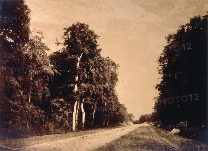 Landscape, photo Gustave Le Gray. France, 19th century