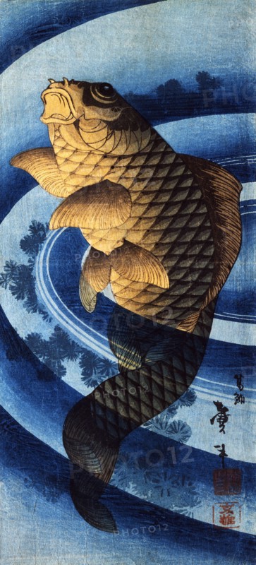 Carp Swimming Upwards, by Katsushika Taito II. Japan, 19th century