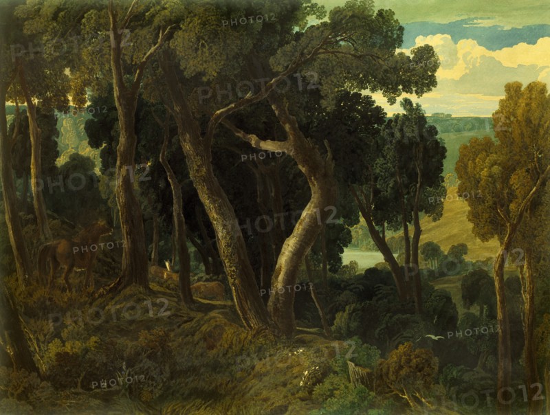 Wichwood Forest, by William Turner. England, 19th century