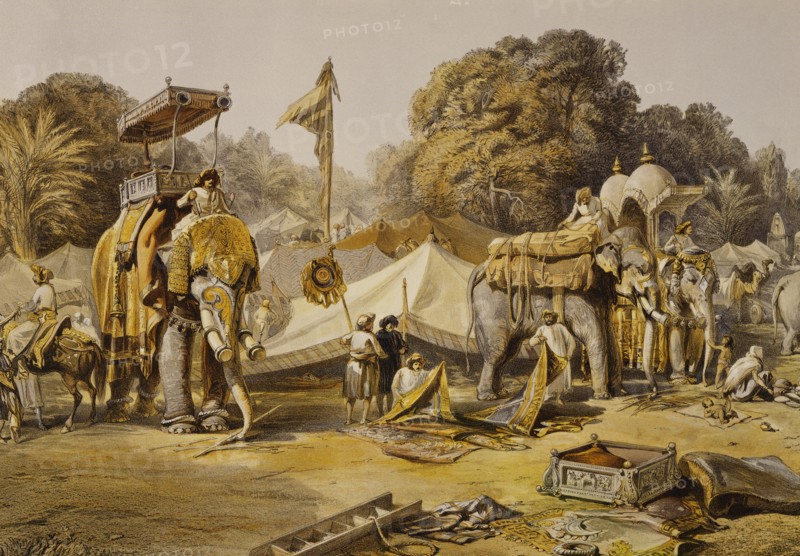 State Elephants in the Mahratta Carup, by William Simpson. Indore, India, 19th century
