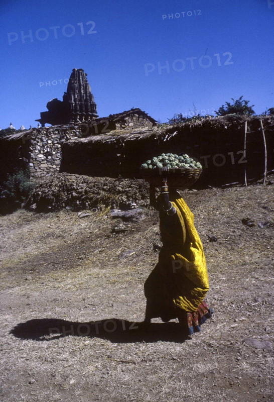 Woman carrying a basket of custard fruits to the village enclosed within the walls of the fort.
Kumbhalgarh Fort, Rajasthan, India.
