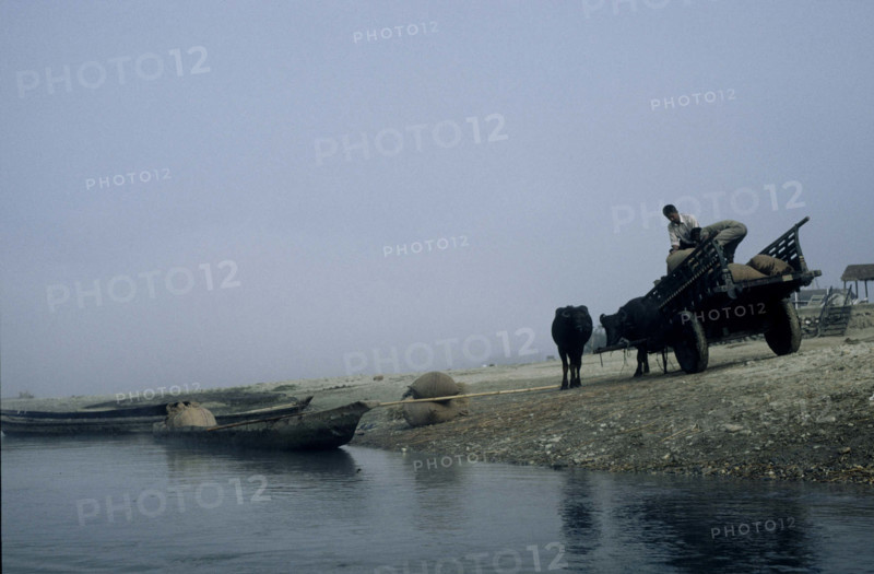 Transporting grain across the Rapti River, Chitwan National Park, Nepal