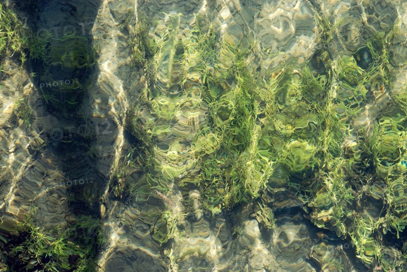 Reflections in water