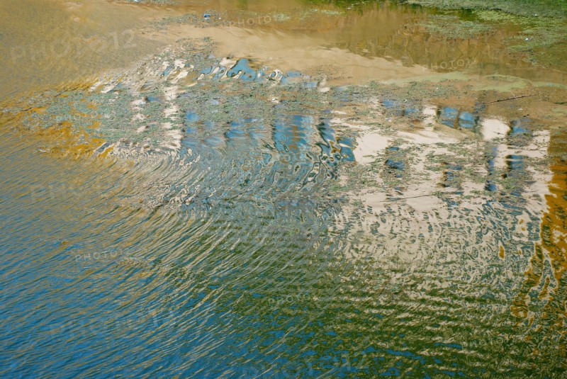 Reflections in water