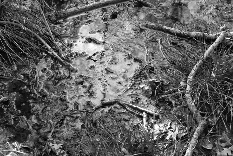 Muddy ground