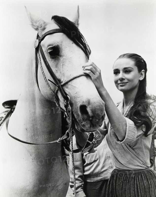 Audrey Hepburn