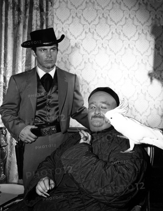 Wild Wild West Tv