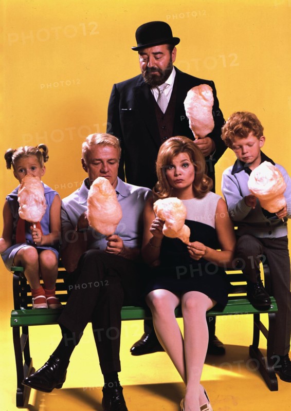 Family Affair Tv