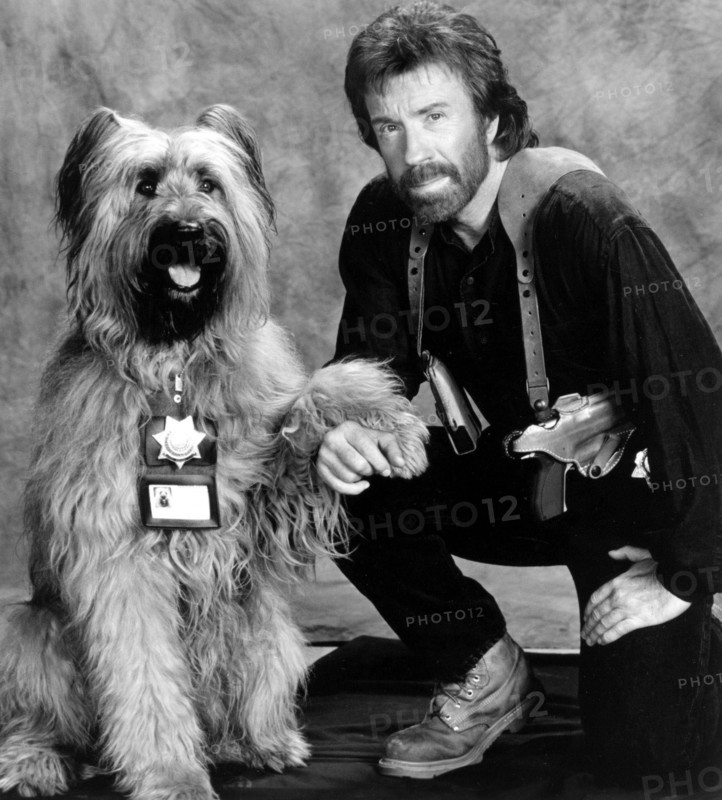 Chuck Norris Stills Ang