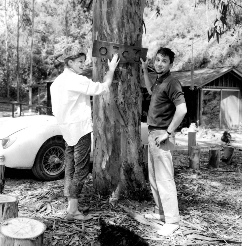 Bob Denver Obit
