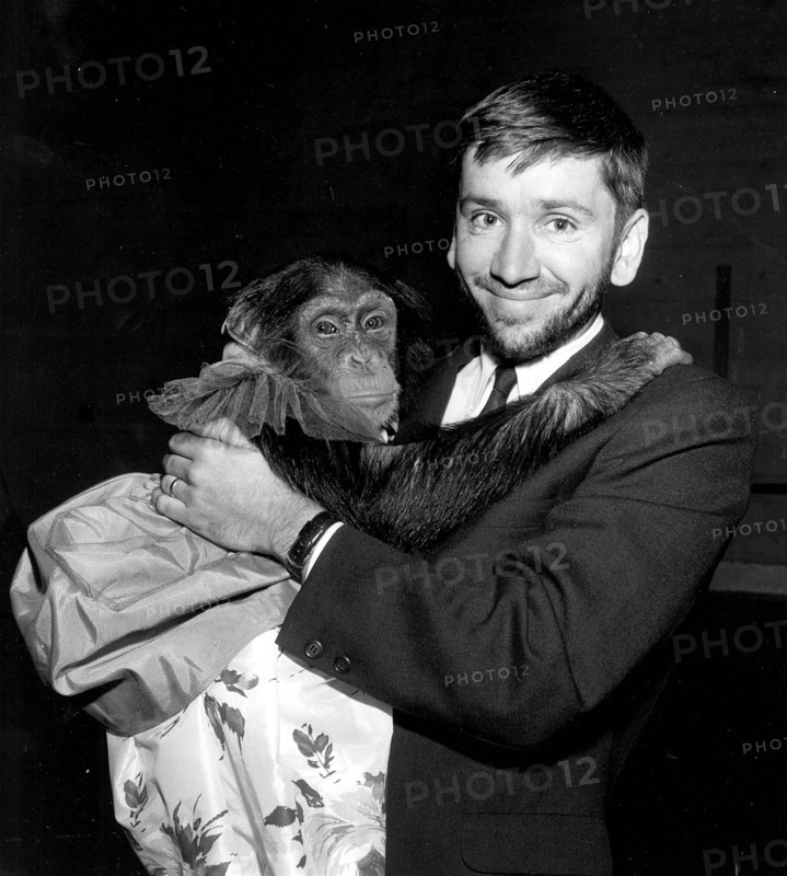 Bob Denver Part Ii