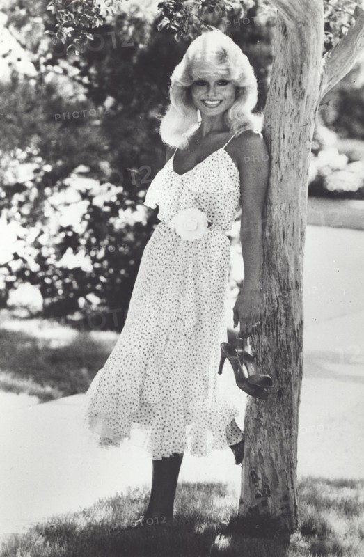 Loni Anderson TV Star of Hit Comedy 'WKRP IN CINCINNATI'
