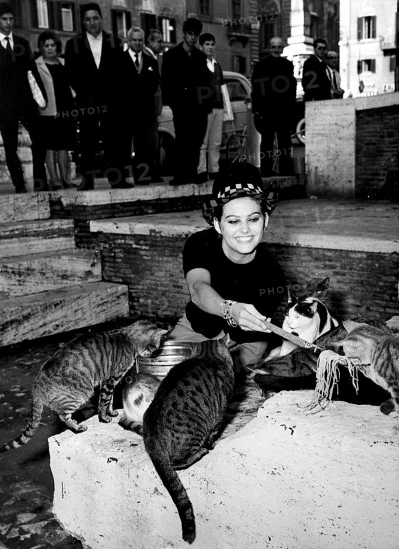 Claudia Cardinale