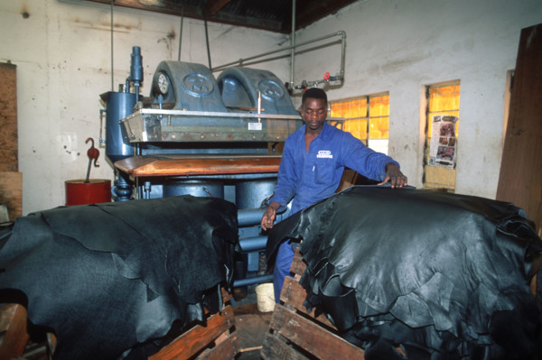 Leather colouring