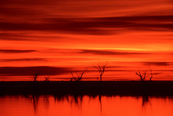Red sunset Chobe River
\n