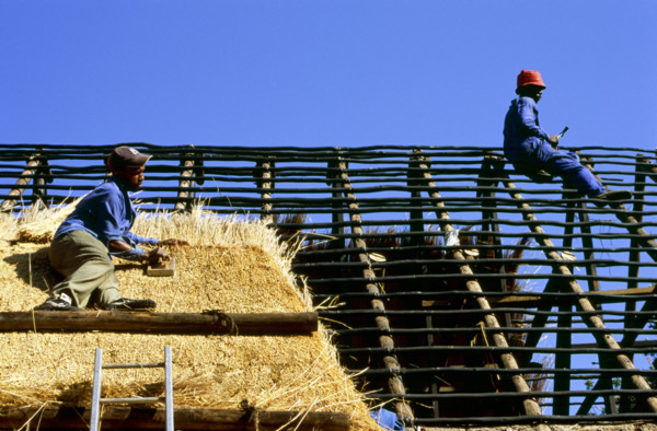 Thatching